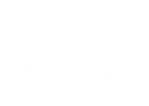 Logo de Nero Project